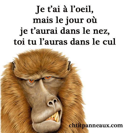 Chat nostalgie gratuit Chat nostalgie gratuit